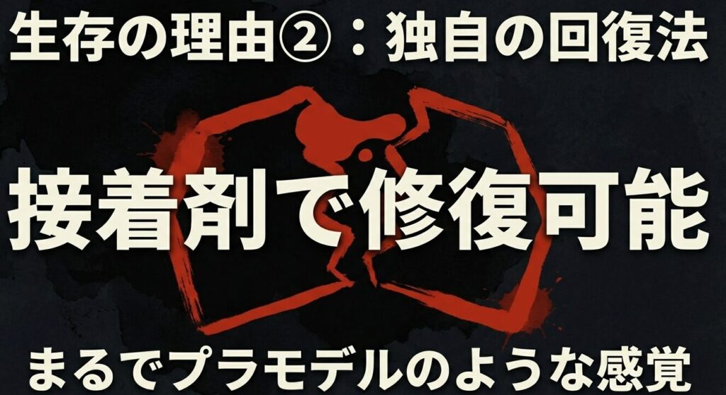 生存の理由2:まるでプラモデルのように接着剤で修復可能な独自の回復法